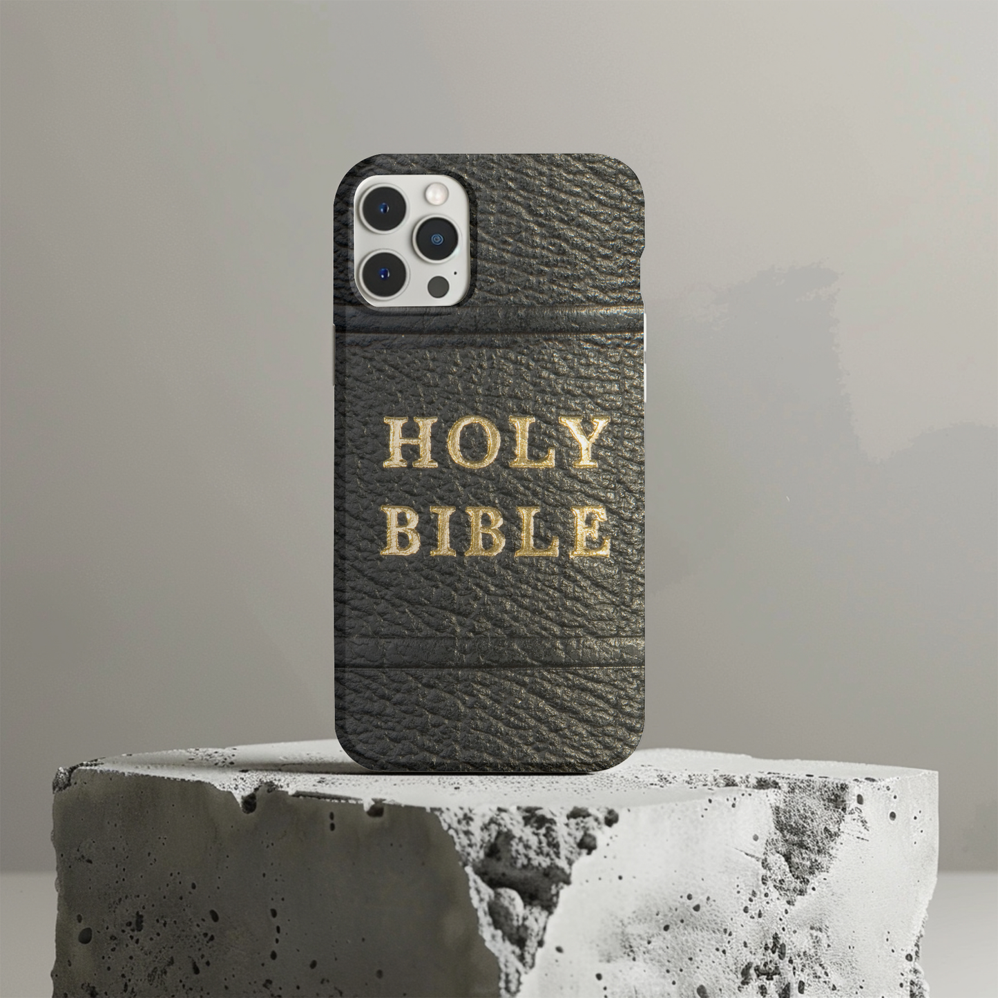 Holy Bible