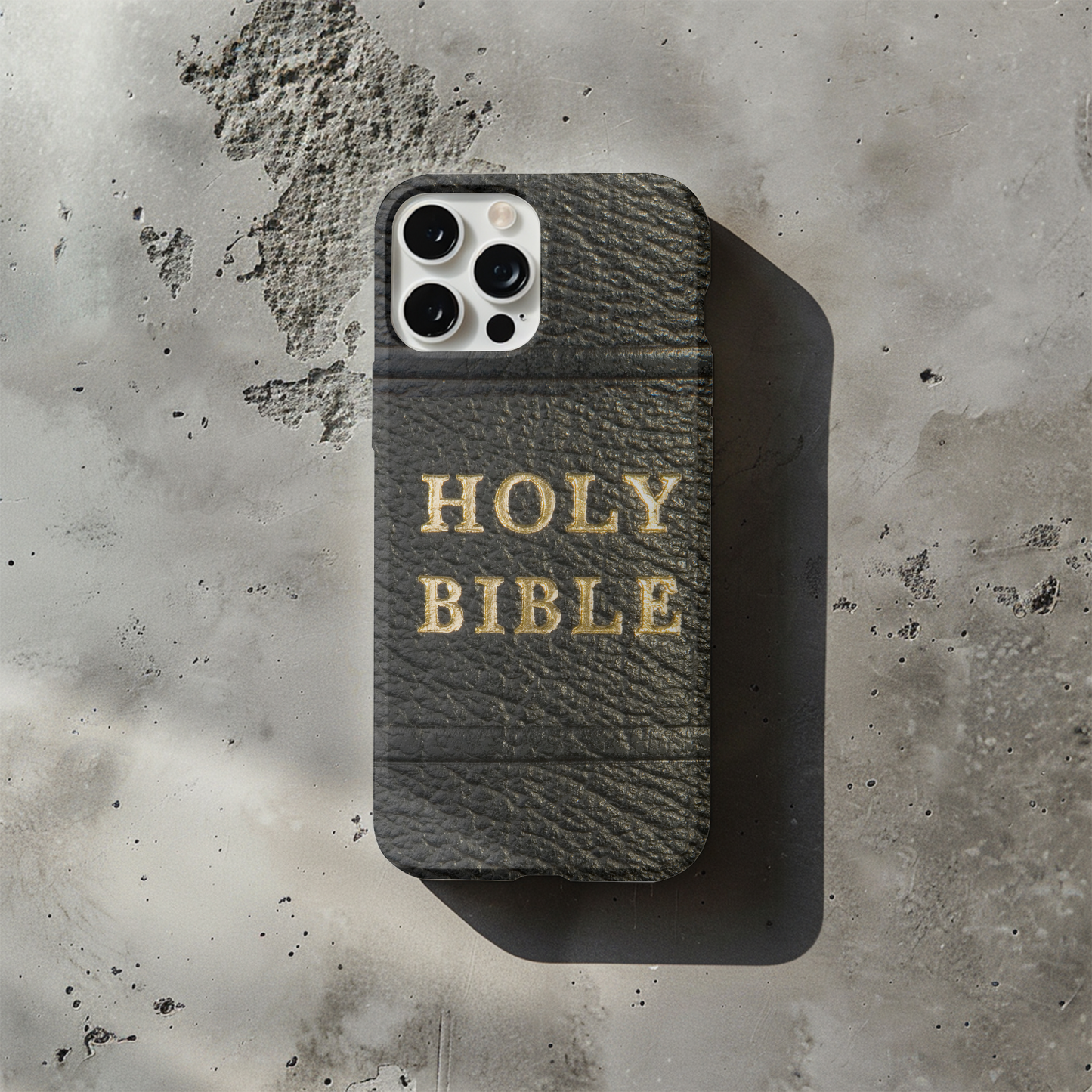 Holy Bible